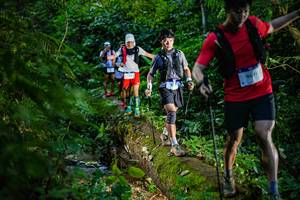 BIB: 
                            <button type="button" onclick="openModal(18922030)" class="btn btn-primary btn-sm float-right btn-popup" data-toggle="modal" data-target=".modal-high-quality">
                        <i class="fas fa-shopping-cart"></i> Add to Cart
                    </button>
                                            <button type="button" onclick="isThisMe(18922030, true)" class="btn btn-success btn-sm float-right btn-popup btn-isme hidden" data-toggle="tooltip" data-placement="bottom" title="นี่คือรูปของคุณใช่ไหม คลิกที่นี่เพื่อเอาเข้าอัลบั้ม">
                        <i class="fas fa-plus"></i> Add to album
                    </button>
                    <button type="button" onclick="isThisMe(18922030, false)" class="btn btn-warning btn-sm float-right btn-popup btn-isnotme hidden">
                        <i class="fas fa-ban"></i> Remove from album
                    </button>